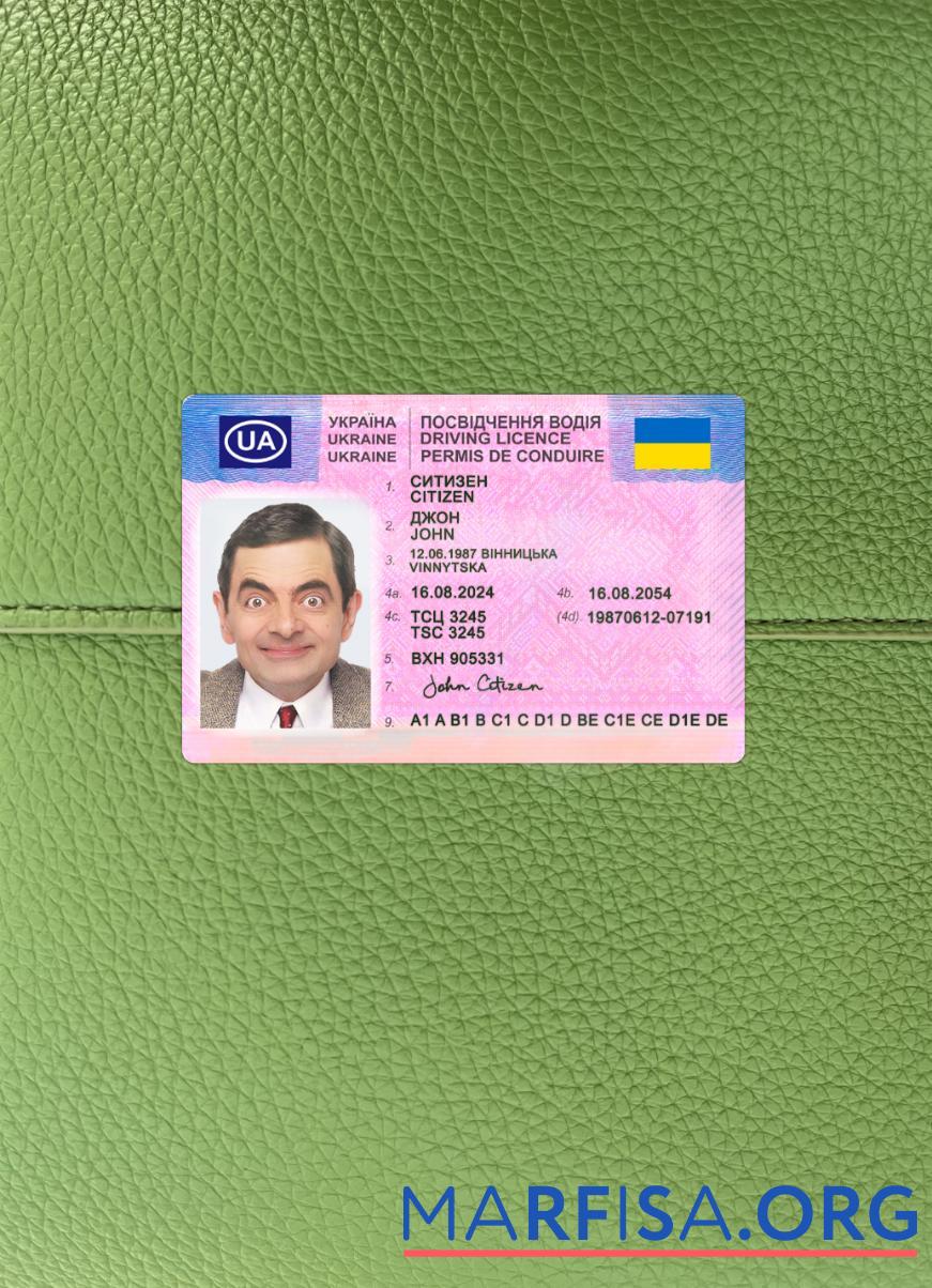 Downloadable Ukraine driving license 2024 present photolook template